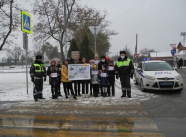 Сальские школьники вместе с инспекторами ДПС поучаствовали в профилактической акции