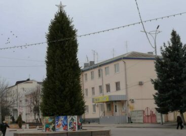 Праздник — близко: в центре Сальска установили новогоднюю елку