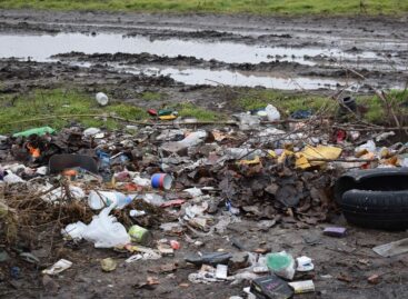 Хутор Бровки буквально завален мусором и стал пристанищем для бродячих собак