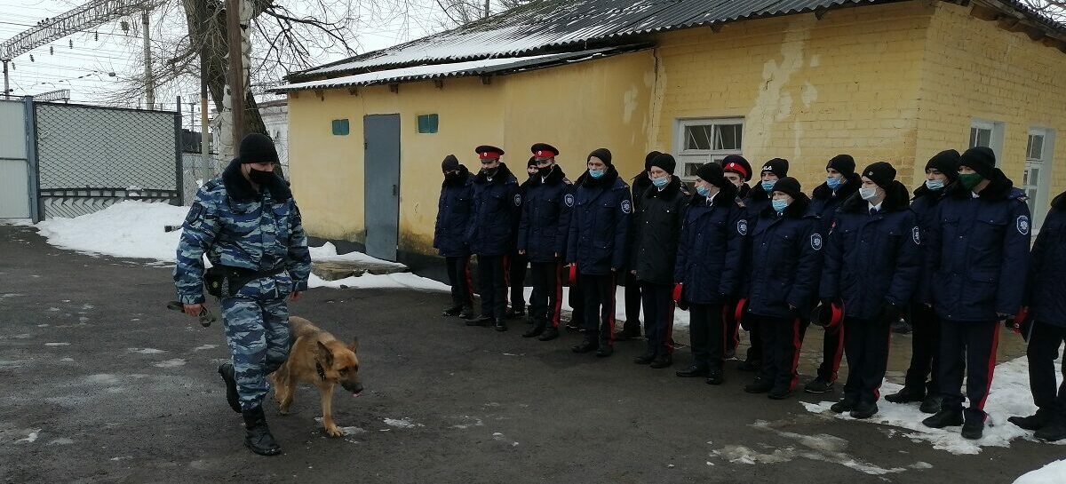 К транспортным полицейским в Сальск прибыл «Студенческий десант»