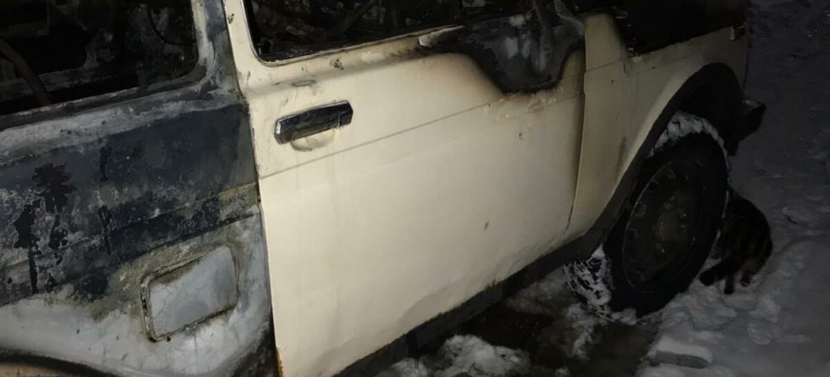 В Сальске «Нива» запылала прямо на глазах хозяина