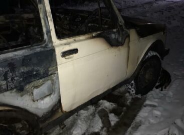 В Сальске «Нива» запылала прямо на глазах хозяина