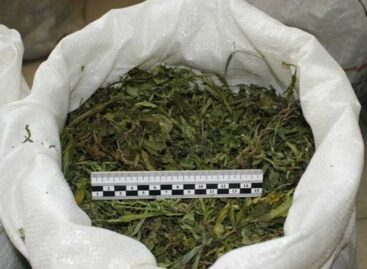 На даче у 74-летнего сальчанина нашли запас марихуаны