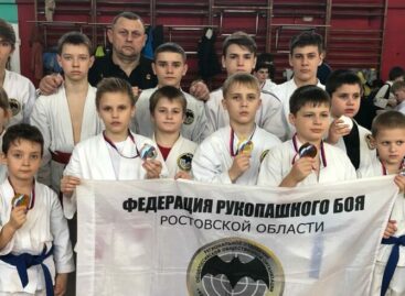 В жесткой конкуренции сальские рукопашники добыли медали в Ростове