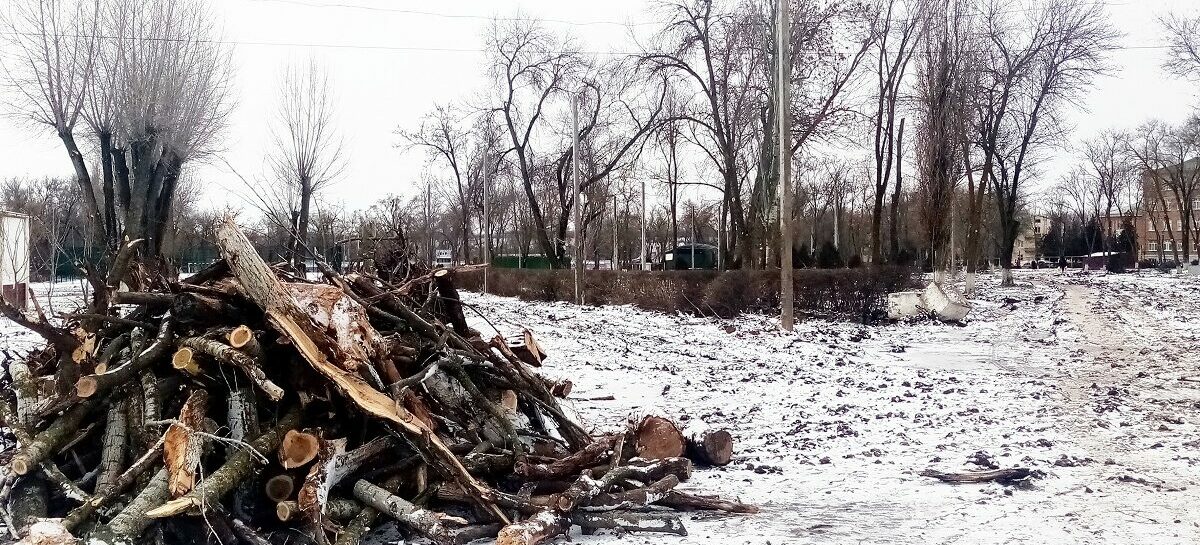 В Гиганте будет новый парк