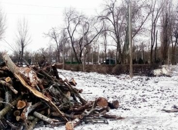 В Гиганте будет новый парк