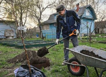 Земельный удел: в скором времени контроль за использованием дачных земель может быть усилен.