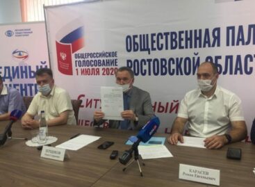 В марте тренеры-преподаватели общественных наблюдателей за выборами от Ростовской области пройдут обучение