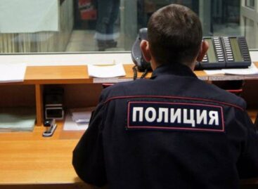 Сальчанка перевела деньги неизвестному за котёнка-сервала, но дорогостоящее животное не получила