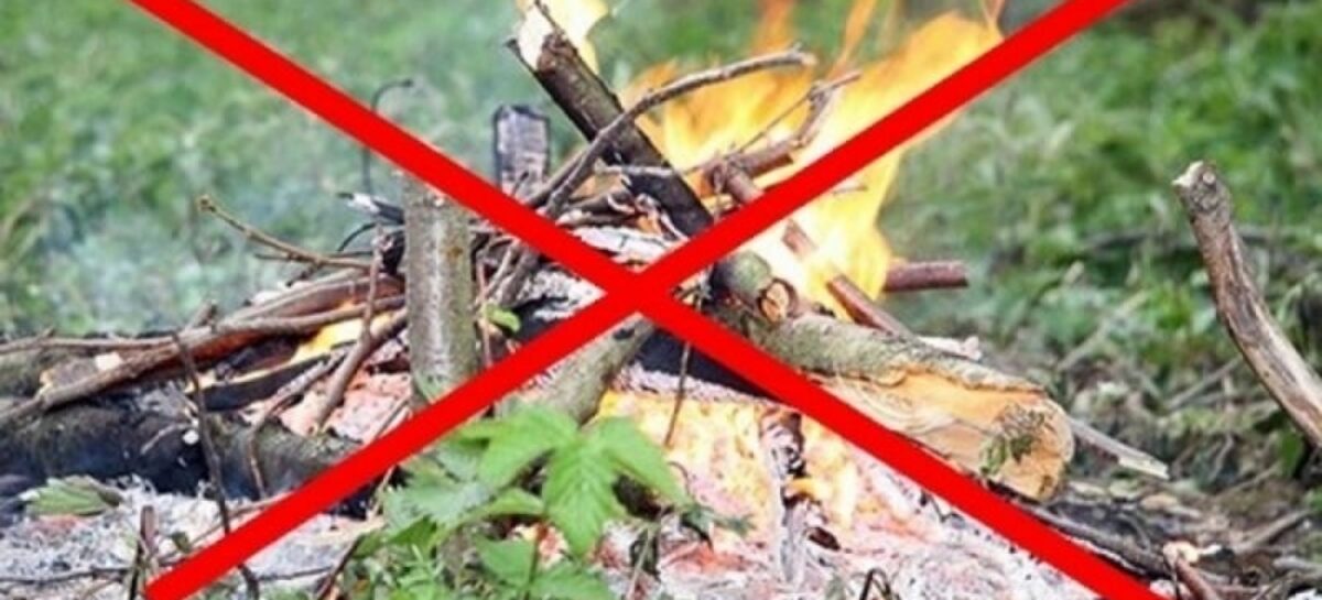 Жителям Сальского района напомнили о том, что костры разводить нельзя
