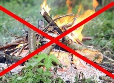 Жителям Сальского района напомнили о том, что костры разводить нельзя