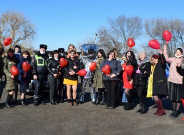 В Сальске прошёл конкурс «Автоледи»