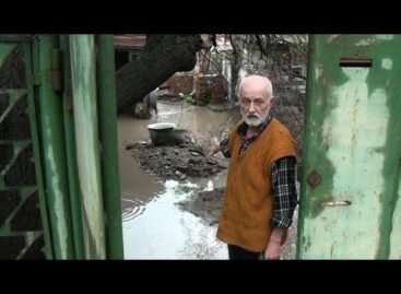 Двор сальчанина тонет в луже