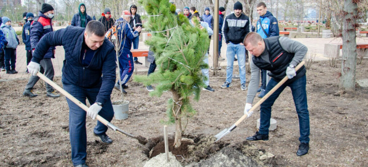 На Дону открылась Аллея спортивной славы