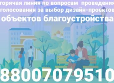 На Дону запущена «горячая линия» по проведению голосования за выбор дизайна объектов благоустройства