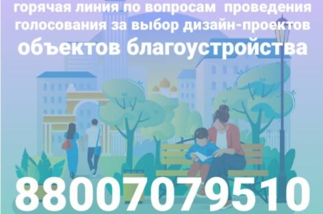На Дону запущена «горячая линия» по проведению голосования за выбор дизайна объектов благоустройства
