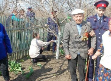 Донским ветеранам войны в решении бытовых проблем помогут волонтёры