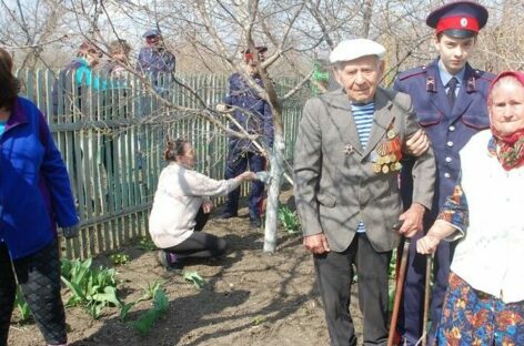 Донским ветеранам войны в решении бытовых проблем помогут волонтёры