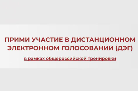 Сальчан приглашают принять участие в дистанционном голосовании