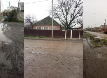 Сальчане жалуются на грязь и лужи на тротуарах и дорогах