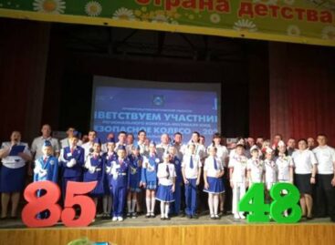 Юные инспектора Дона школы № 21 города Сальска стали призерами