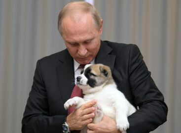 Путин поручил ввести учет домашних животных