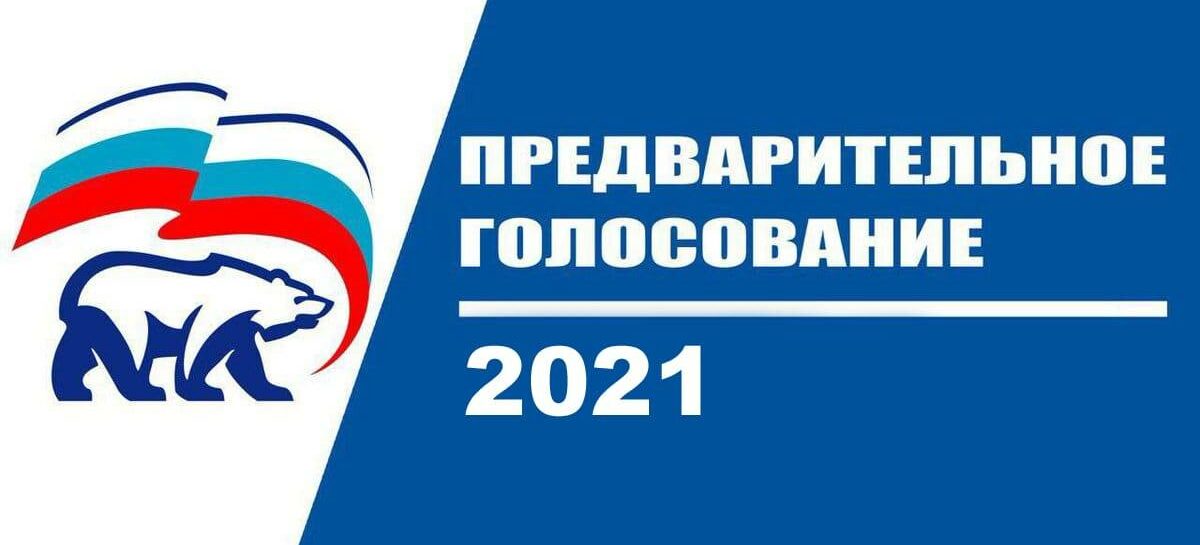 Многие участники предварительного голосования кандидатов «Единой России» на Дону — новички в политике