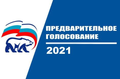 Многие участники предварительного голосования кандидатов «Единой России» на Дону — новички в политике
