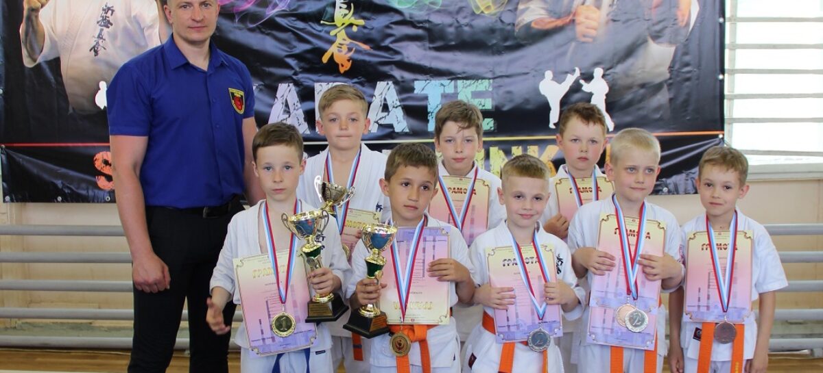 На первенстве по киокусинкай выступили юные сальчане