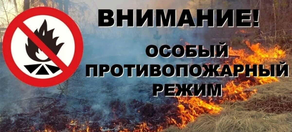 В Донском регионе объявлен особый противопожарный режим