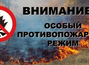 В Донском регионе объявлен особый противопожарный режим