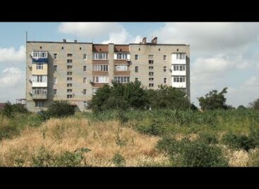 Оказывается, жить у реки — не всегда удовольствие
