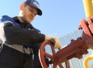 Госдума утвердила поправки о бесплатной газификации земельных участков граждан