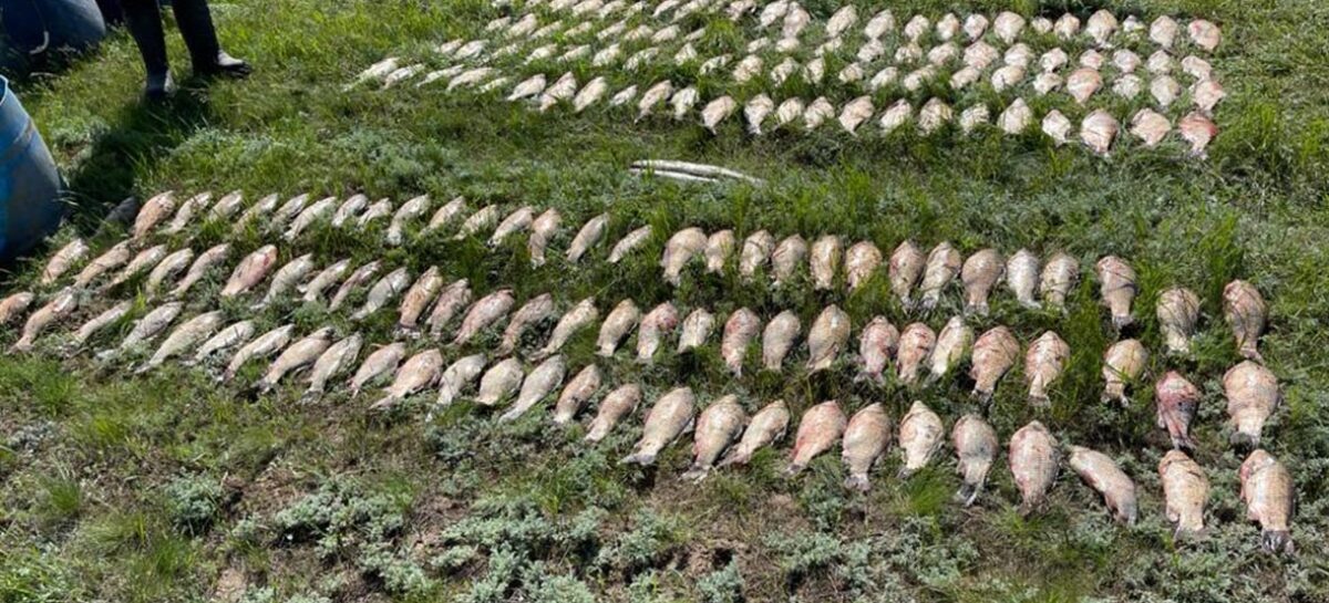 В акватории Цимлянского водохранилища транспортные полицейские пресекли незаконный вылов рыбы