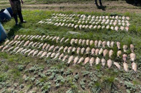 В акватории Цимлянского водохранилища транспортные полицейские пресекли незаконный вылов рыбы
