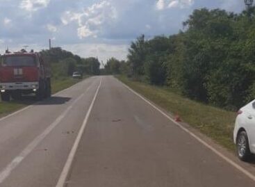 В Сальском районе житель Калмыкии на иномарке врезался в дерево