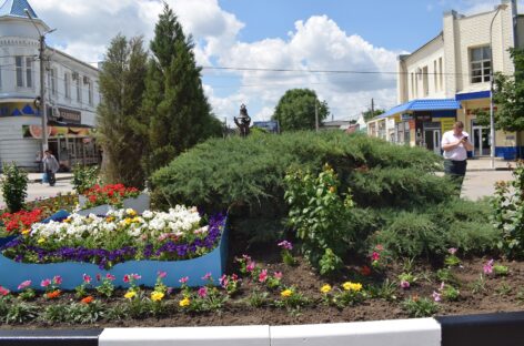 Эта клумба претендует на звание одной из самых красивых в Сальске