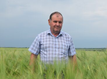 Глава ООО «Казачье-Агро» Виктор Зинченко удостоен почетного звания
