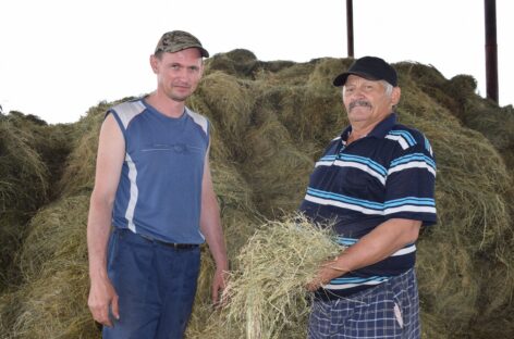 «Казачье-Агро»: в хозяйстве ведутся уходные работы и заготовка кормов для животноводства