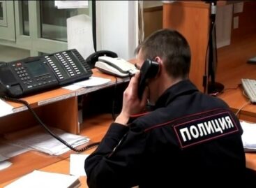 Сальчанка украла можжевельник с клумбы у чужого двора, но была изобличена