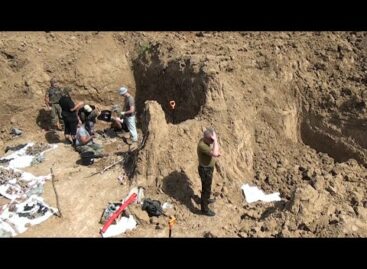 Без срока давности: в Сальске идут раскопки