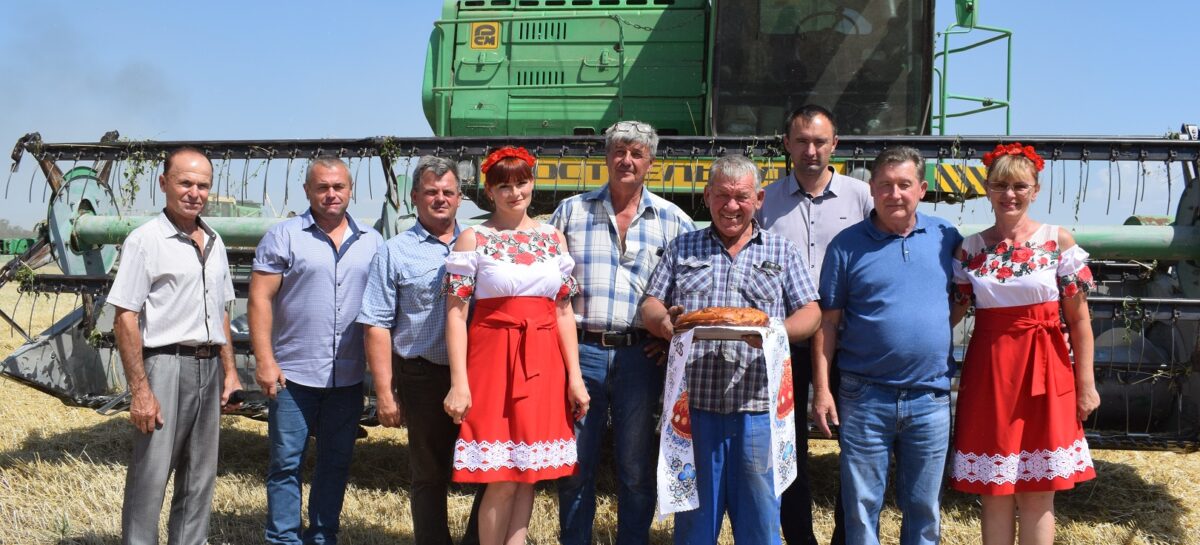 Июльский день год кормит: в «Руси» почти собрали весь хлеб