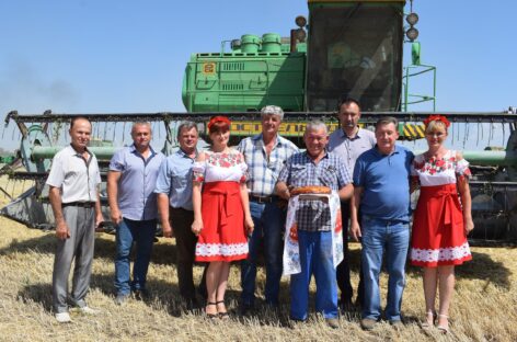 Июльский день год кормит: в «Руси» почти собрали весь хлеб