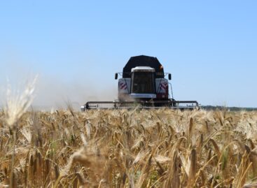 Жатва-2021: в Сальском районе обмолочено 43% площадей
