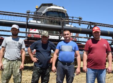 Золотая пора «Фрунзе»: на полях района продолжается жатва