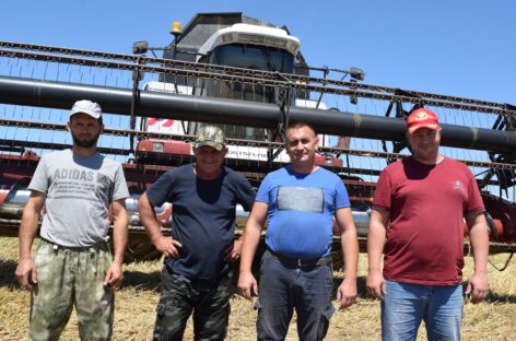 Золотая пора «Фрунзе»: на полях района продолжается жатва