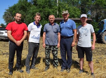 «Белозёрное»: в одном из самых стабильных хозяйств идёт хлебоуборка