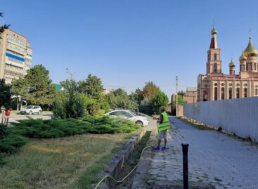 Неужели клумбам дали «попить»