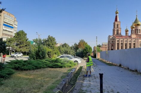 Неужели клумбам дали «попить»