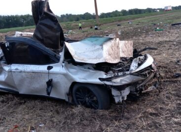 В Сальском районе в аварии погиб житель Подмосковья